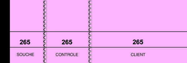 Lot de 10 Bloc passe-partout 100 feuillets ROSE 50X150 ELVE