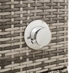vidaXL Douche de jardin Grise 60x80x214 cm Poly Rattan