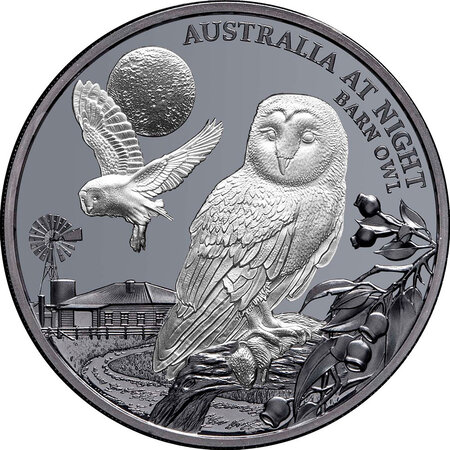 Pièce de monnaie en Argent 1 Dollar g 31.1 (1 oz) Millésime 2022 Australia at Night BARN OWL