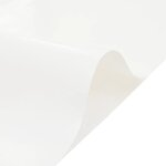 vidaXL Bâche blanc 2x3 m 650 g/m²