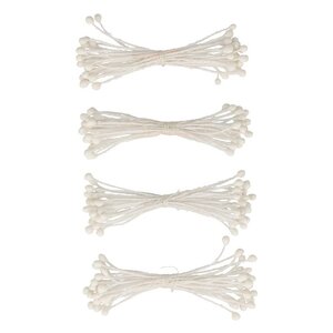 Set 100 Étamines Blanches Papier