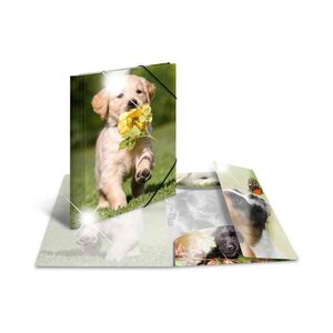 Chemise à élastiques 'chiens', PP Glossy, A3 HERMA