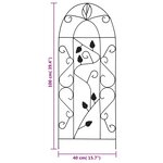 vidaXL Supports pour plantes grimpantes 3 Pièces Noir 40x100 cm Fer