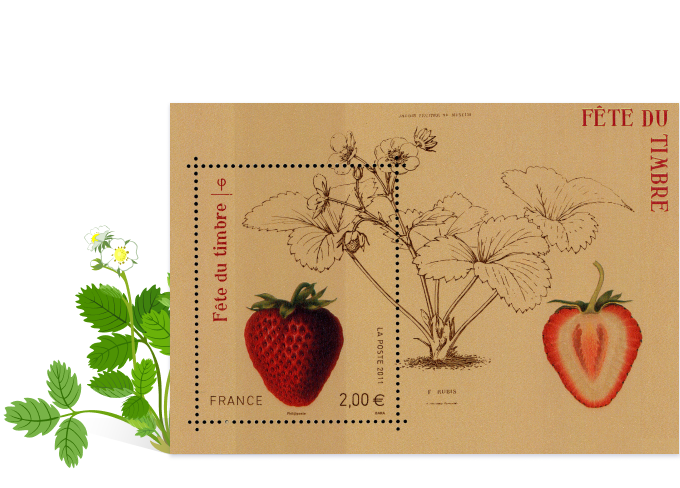 timbres fraisier rubis