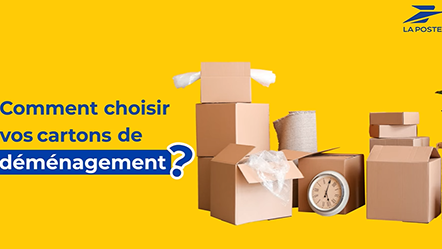 Vidéo : choisir ses cartons de déménagement